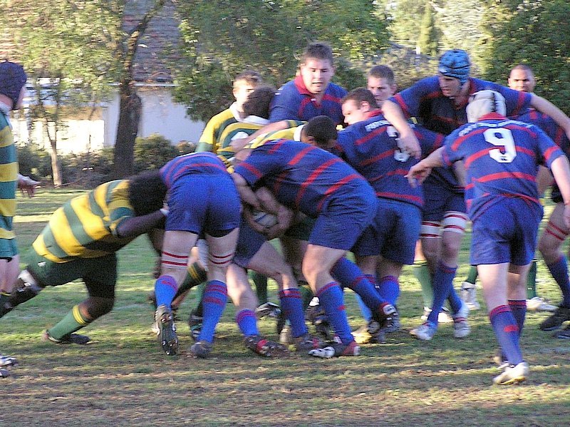 1st XV - whole pack maul